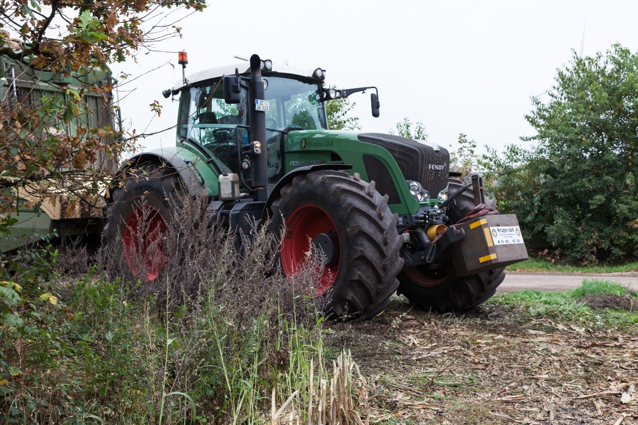 Bild 48 - Maisernte am 22.10.12